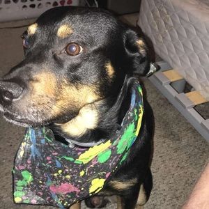 Meet your Posher, Gabe